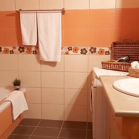 Vaso's Garden Apartament